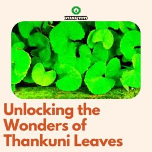 Unlocking-the-Wonders-of-Thankuni-Leaves-A-Comprehensive-Guide-to-Its-Health-Benefits